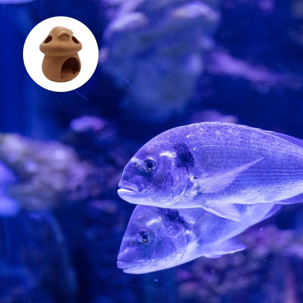 الروبيان المأوى حوض السمك تفقيس وعاء للأسماك البيض وضع التفريخ يمكن خزان الأسماك الديكور المشهد زخرفة #5