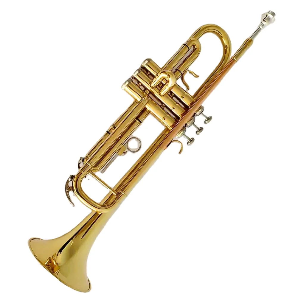 Trumpet Bb Student Adult Beginner Universal Trumpet Instrument