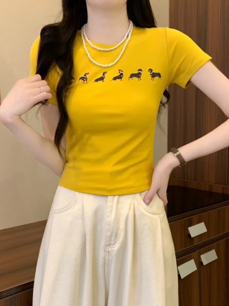 T-shirt ort Sve con stampa cane bassotto carino T-shirt estiva da donna slim fit in cotone rotondo Ne Top oulder Lunghezza Youth Sle