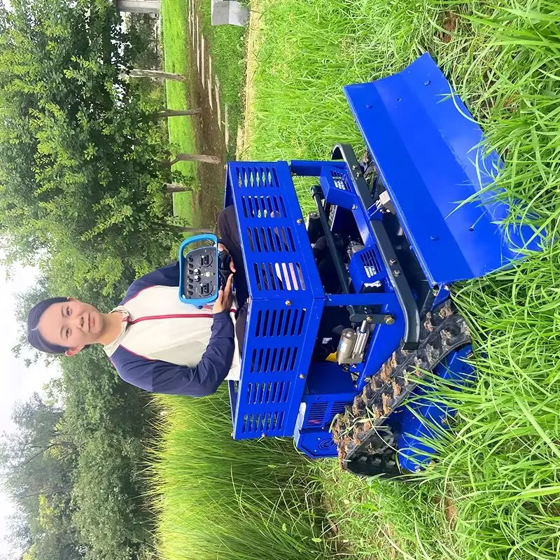 عروض موسمية مخصصة لركوب الخيل قاطع غاز كهربائي وحدة تحكم راديو لاسلكية أرضية جهاز تحكم عن بعد جزازة العشب الزاحفة