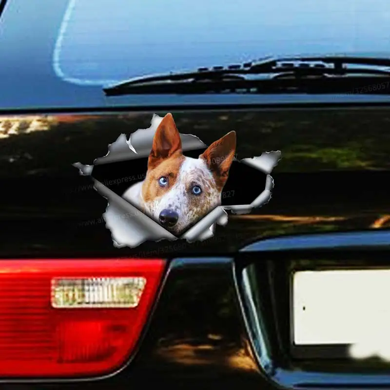 Heeler Pet Dog Car Sticker Waterproof Vinyl Decal on Bumper Rear Window Laptop Self-adhesive Decal For Car Accessories SH122