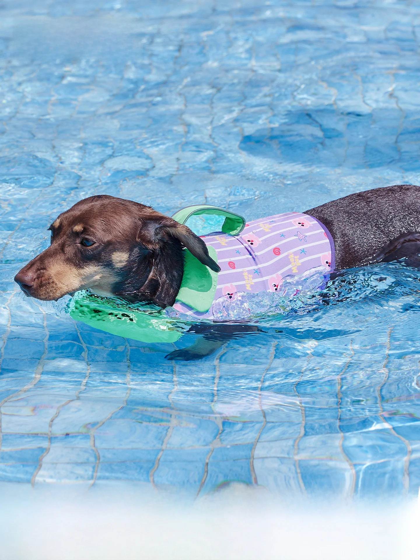 mooki-pet-doggy-life-jacket-summer-schnauzer-outdoor-swimming-pool-pet-clothes-beach-style-trendy-safety-casual-cute-striped
