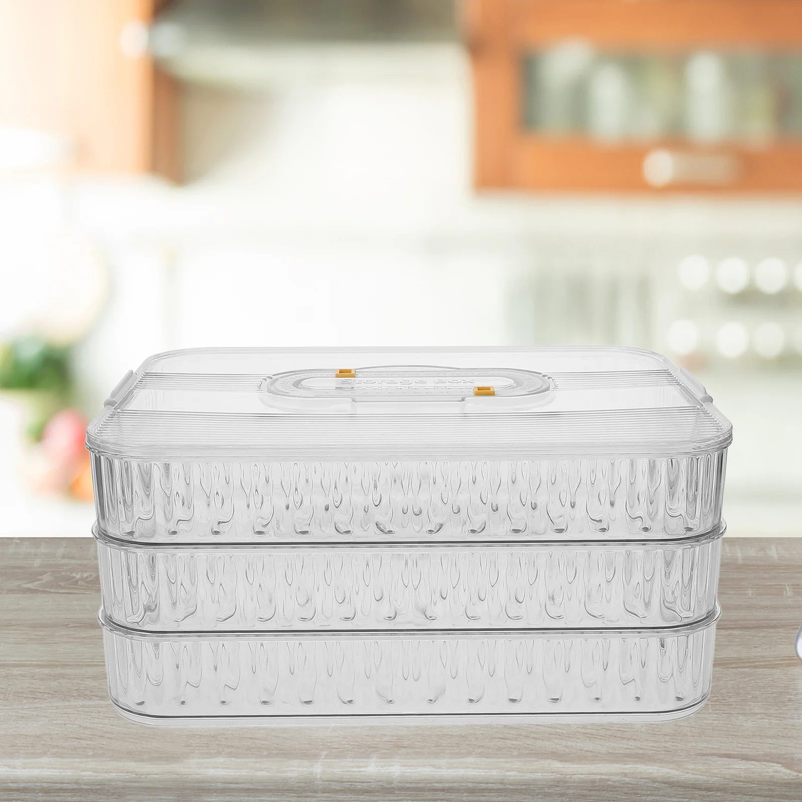 

Dumpling Container 3-Tiers Detachable Box Date Lid Clear Case Fridge Freezer Storage Decorative Storage Bins with Lids