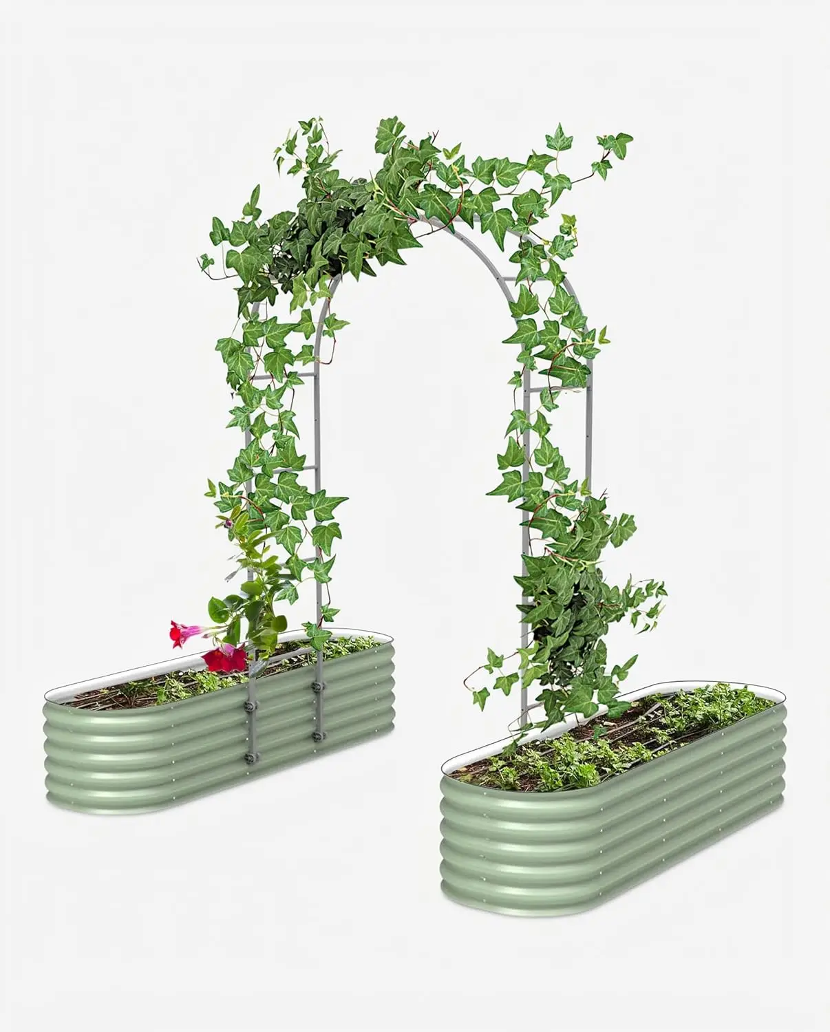 1.5' Long Modular Arched Trellis System for All Classic Garden Bed for Climbing Plants Like Cucumber Beans Tomatoes, Customized