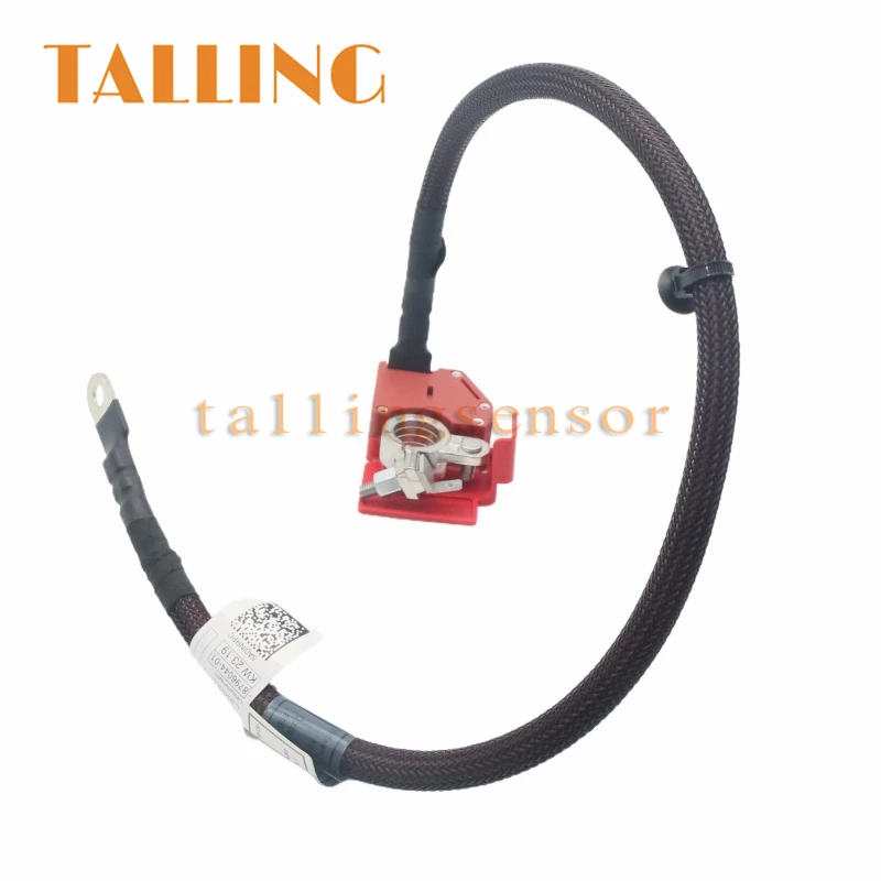 

61128796040 Positive Battery Fuse Cable For BMW X5 G05 F95 X6 G06 F96 X7 G07 2019- Automobiles Spare Parts