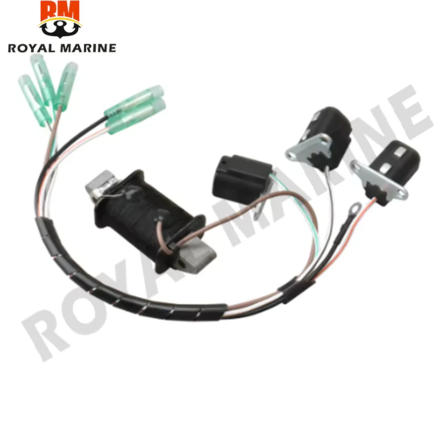 6H3-85510-00 Outboard Stator Assy For Yamaha Pursun Outboard Engine 60HP E60MLHY 6H3-85510 6H3-85510-A1 Boat Motor Generator