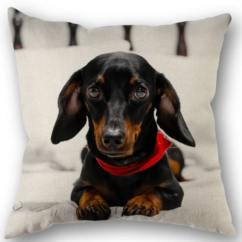 Dachshund Pillowcase Square Zipper Home Wedding Decoration Non-fading
