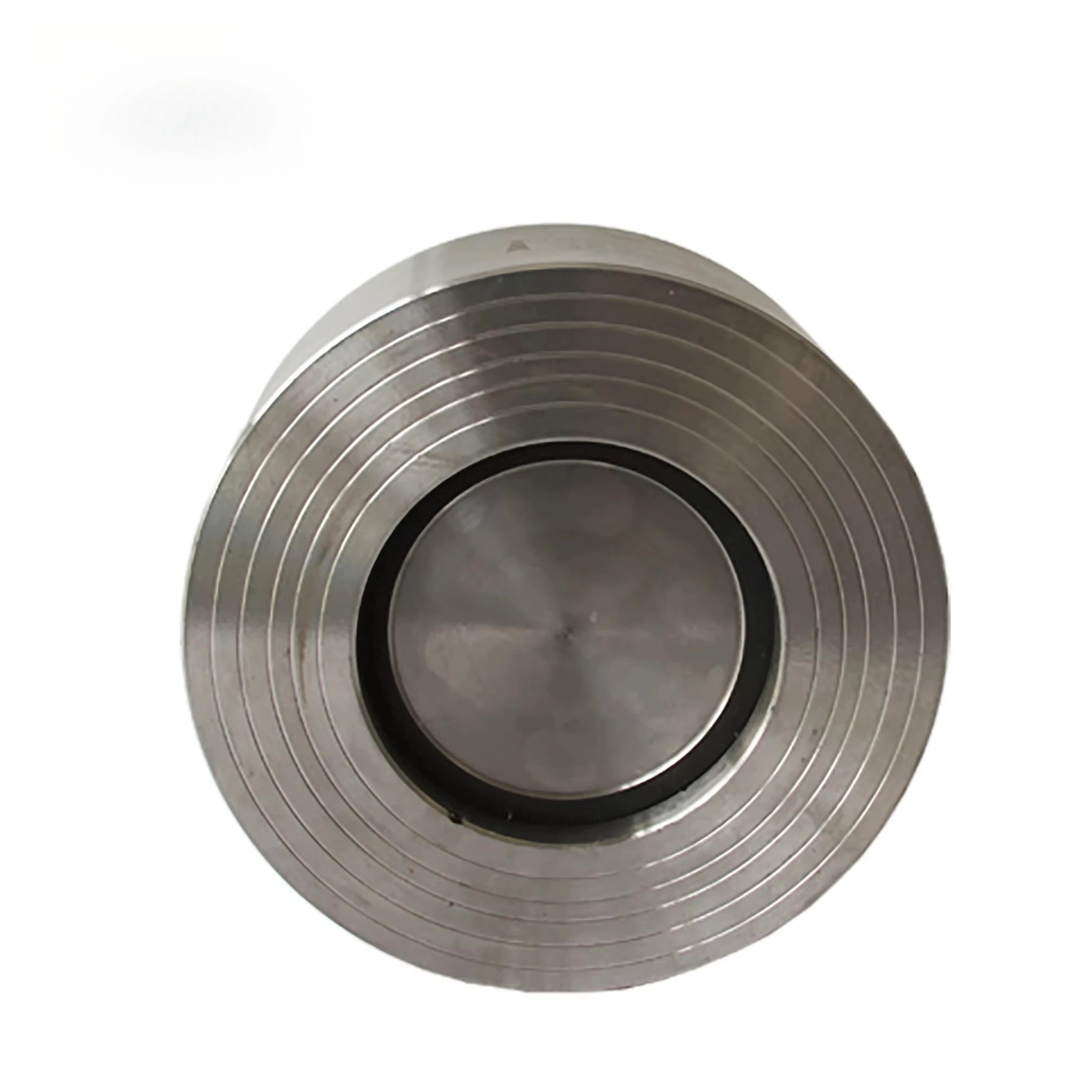 CF8 Stainless Steel Rounded Dual Clamp Wafer Check Valve Supply For Petroleum