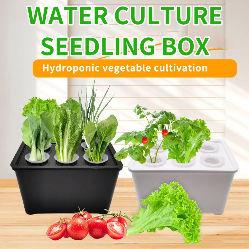 Indoor Sunlit Hydroponic Grow Box - Family Multi-Plant Soilless Cultivation Container