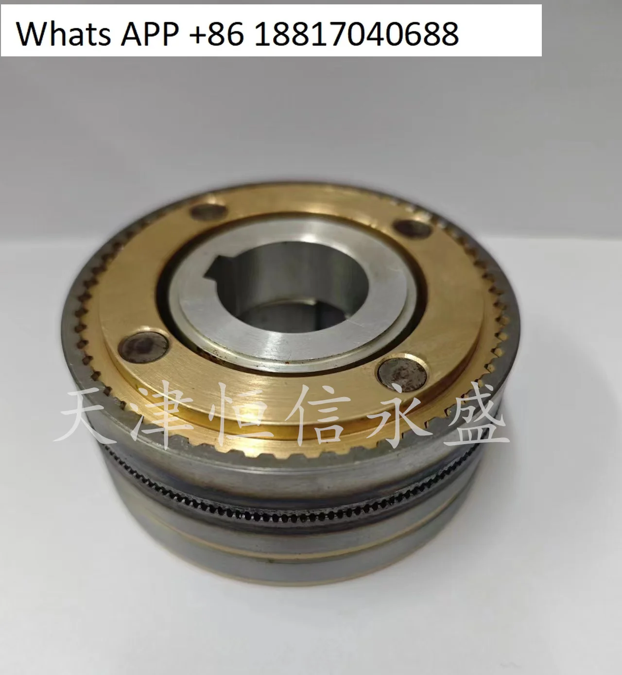 Frizione elettromagnetica a denti serie DLY5 (contatta il servizio clienti per più dimensioni)