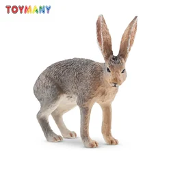 Toymany Simulation  Antelope Jackrabbit  Wildlife Animal Model Toy Mini Figures Dolls Action Figurines Toys Children Gift