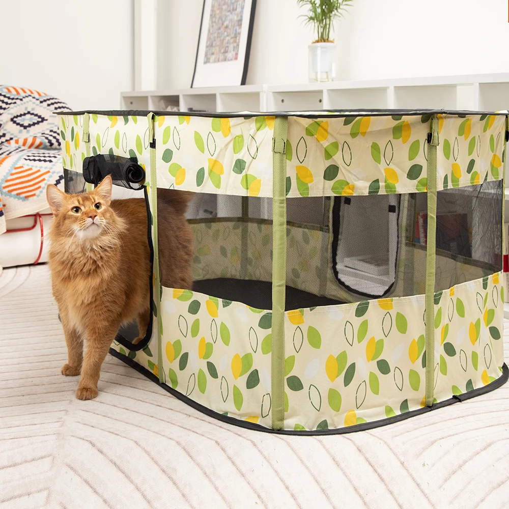 Imagem -02 - Folding Kitten Tent And Cat House Espaço para Cuidar de Cesta de Animais Camas Indoor Pet para Cães e Gatos