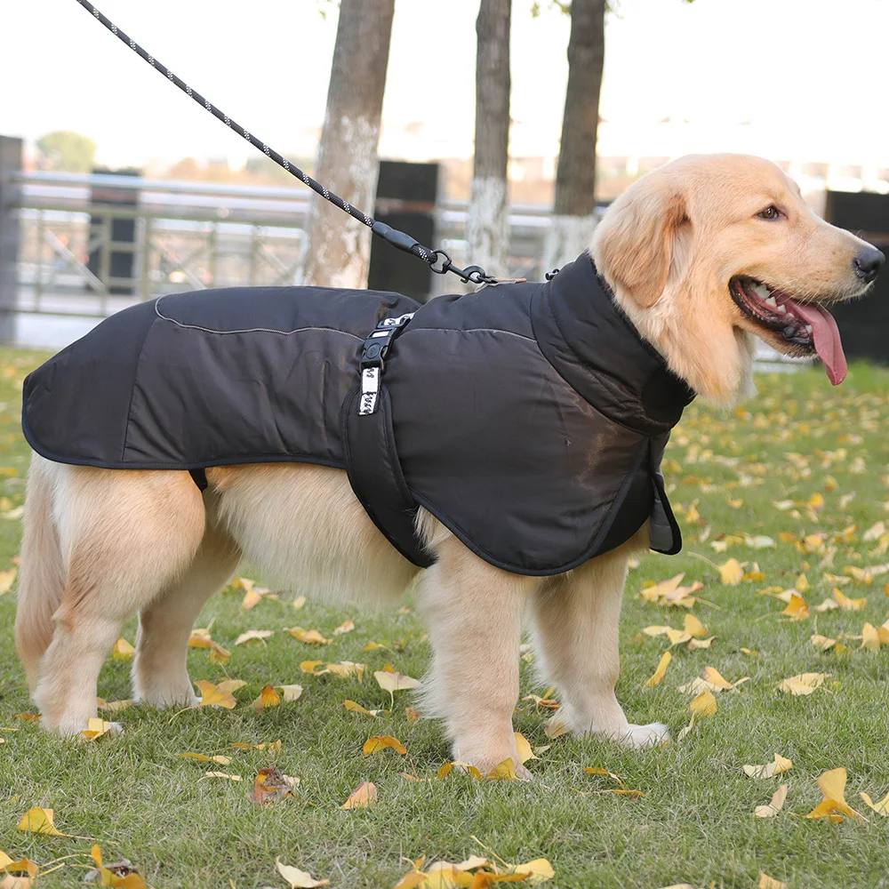 Imagem -02 - Roupa Grossada e Quente do Cão Grande Roupa Reflexiva do Animal de Estimação do Algodão Nova Outono e Inverno