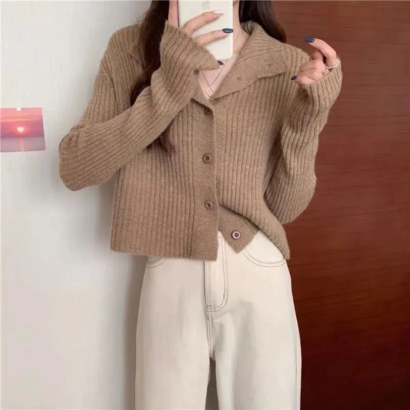 Hdspq Knitted Cardigan Women 2022 Autumn Winter Turtleneck Ribbed Sweaters Woman Single-Breasted Long Sleeve Cardigans Tops