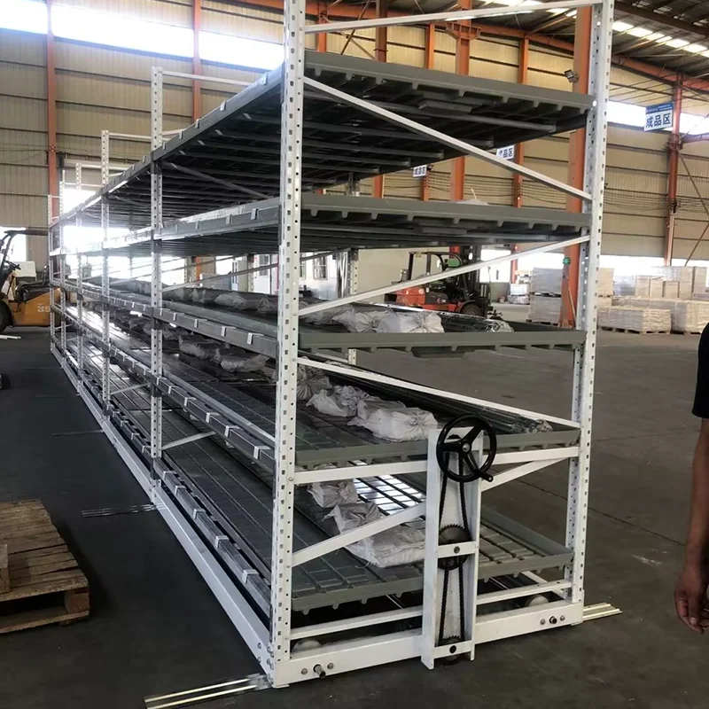 

Multilayers Grow Table Rolling Bench 4*8 FT Mobile Vertical 2-tier Shelf For Plants