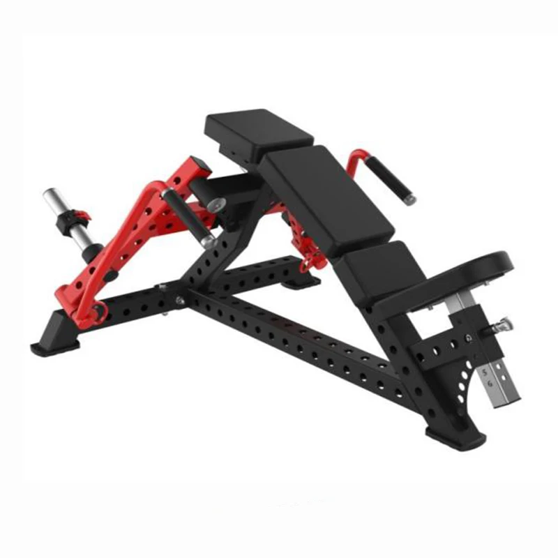 نمط جديد أوزان مجانية لتدريب القوة التجارية في صالة الألعاب الرياضية معدات التراجع لنادي اللياقة البدنية