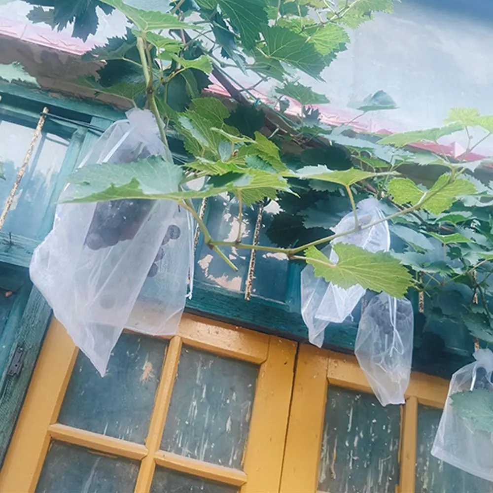 

100pcs Durable Mesh Grapes Fruit Grow Bags White Breathable Vegetable Plant Protection Bags Generic Fruit Pockets Garden Tools