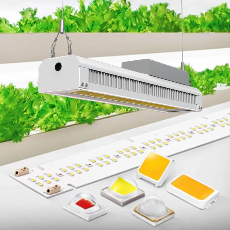 조도 조절 가능한 햇빛 같은 전체 스펙트럼 LED 성장 조명, PC 렌즈, 실내 식물 모종, 채소 및 꽃 식물 성장 램프