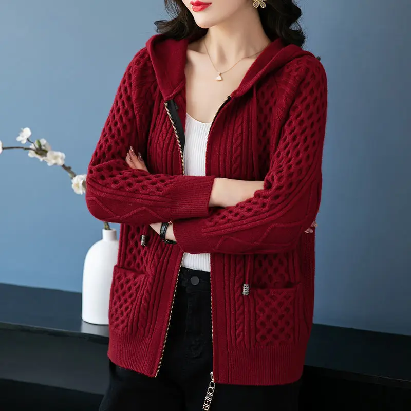 

Women's Clothing Spring Autumn Coat New Zipper Hooded Hoodie Knit Cardigan Sweater Loose Soft Large Size Long Sleeved Jacket