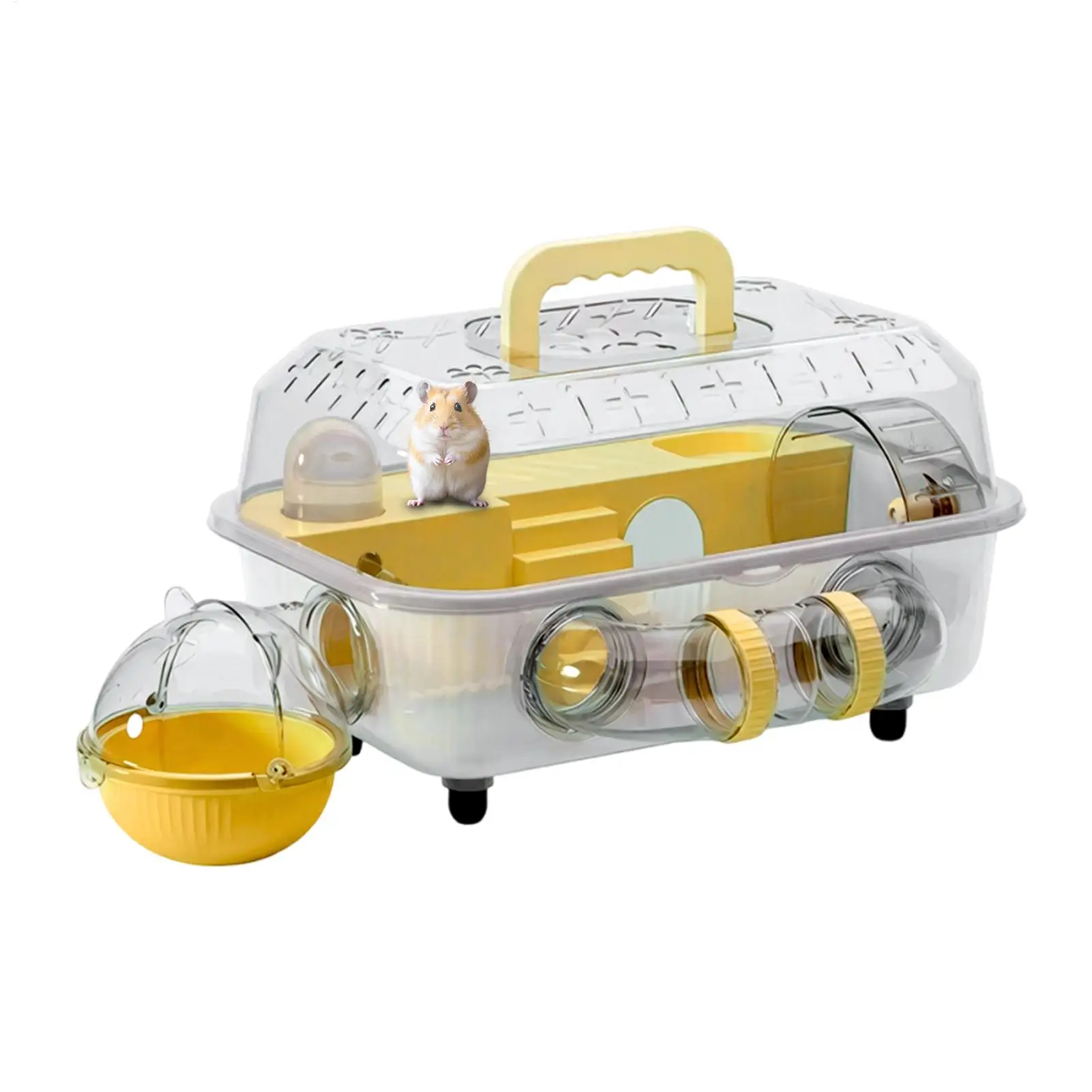 #82 Compare Hamster Habitats Before You Buy