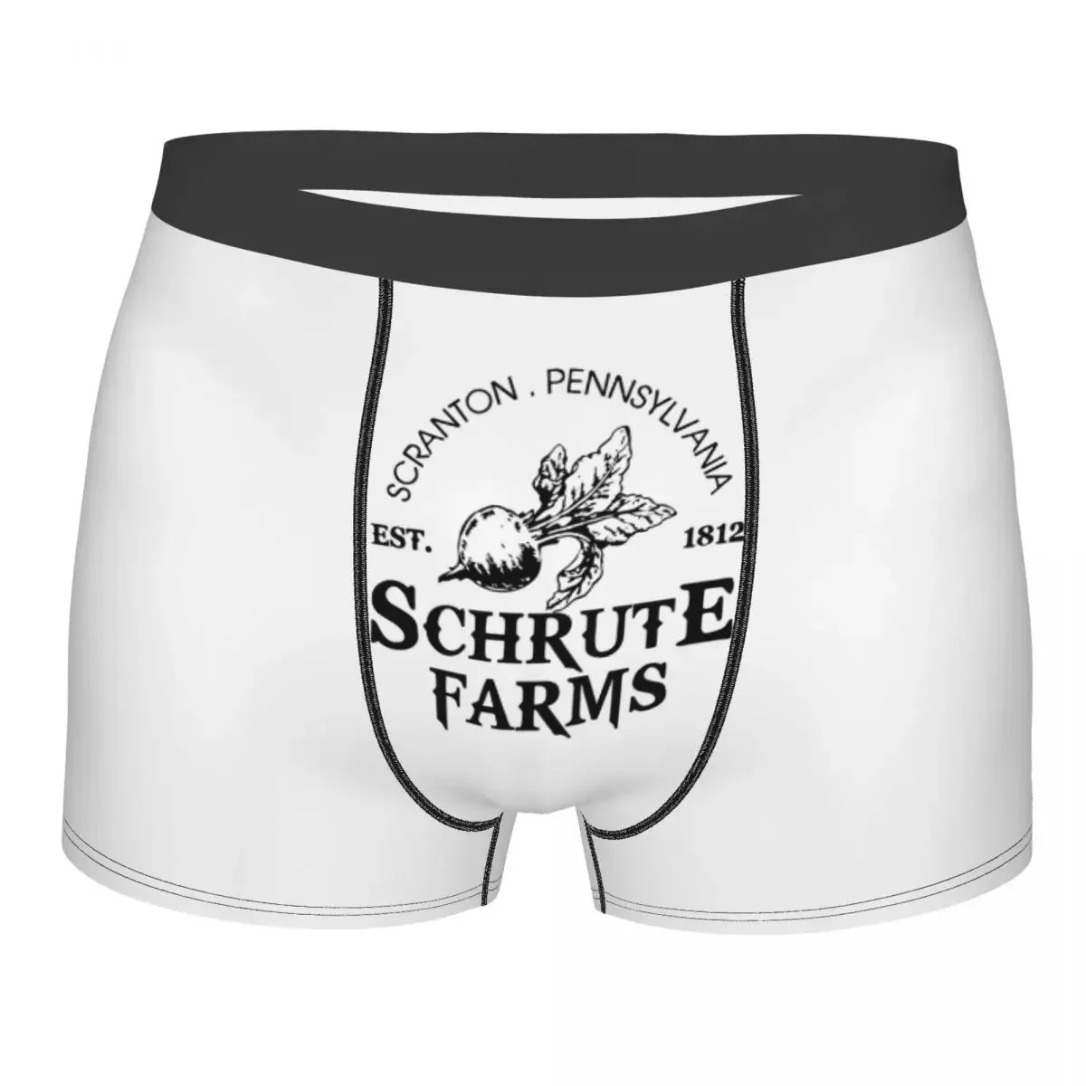 Funny Boxer Schrute Farms The Office Shorts Panties Man Underwear Tv Show Breathable Underpants for Male