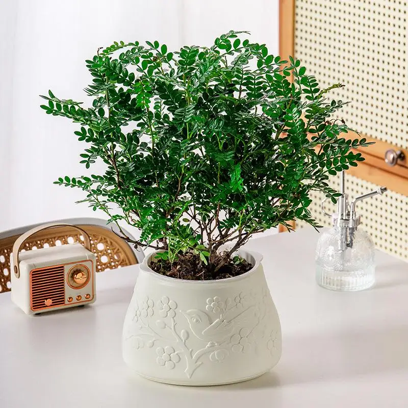 وعاء زهور صغير ذاتي السقي خزان الأسماك أواني نباتات بلاستيكية شفافة مزهرية ذاتية السقي للزينة المنزلية