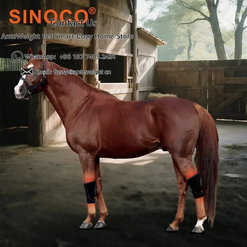 Reusable Medical Care Belt Led Light Therapy Equipment New Style Horse Knee Red Infrared Ray Therapy Battery