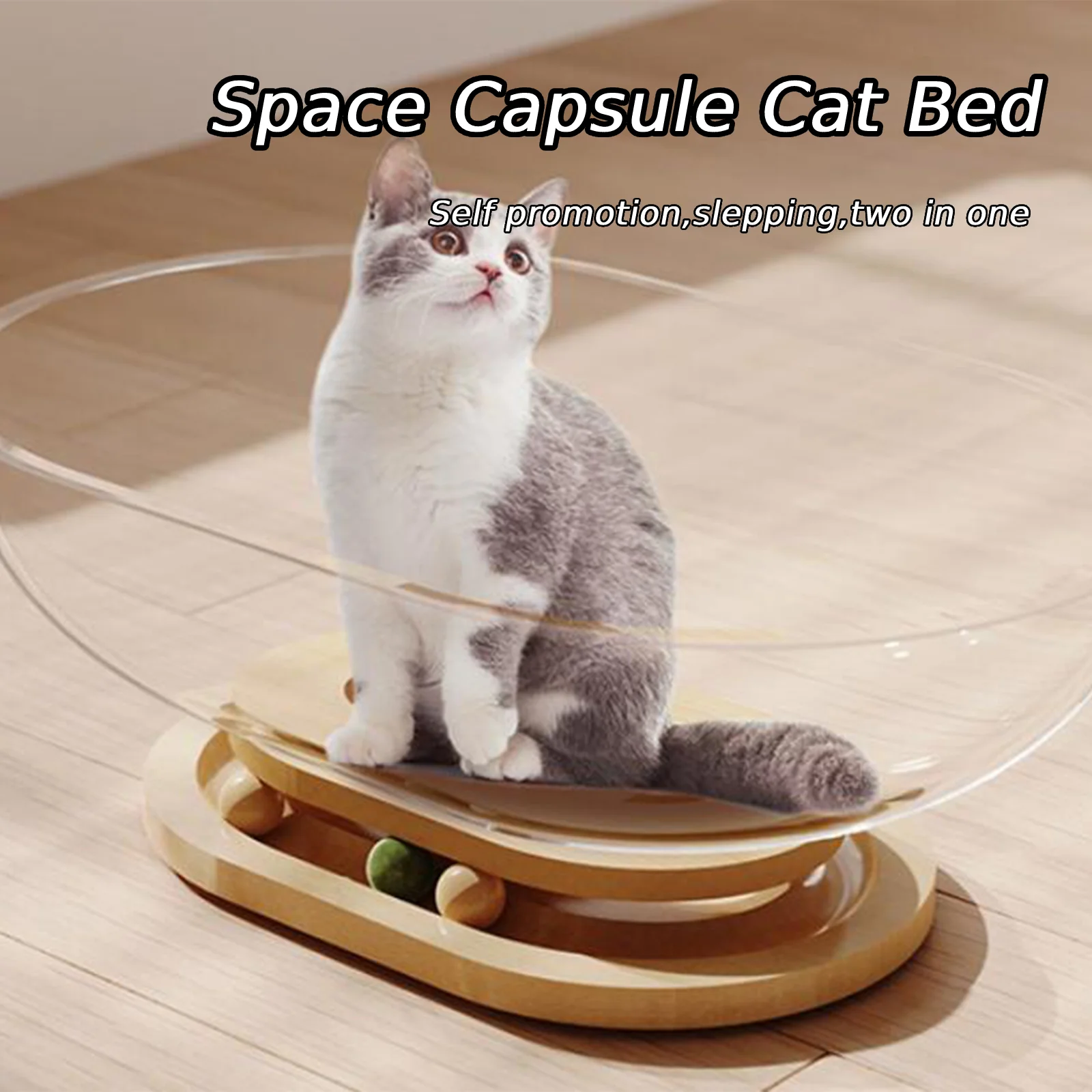 Acrylic Space Capsule Cat Bed Transparnt Cat House All Seasons Universal Kittens Cat Sleeping Nest Small Animals Pet Supplies