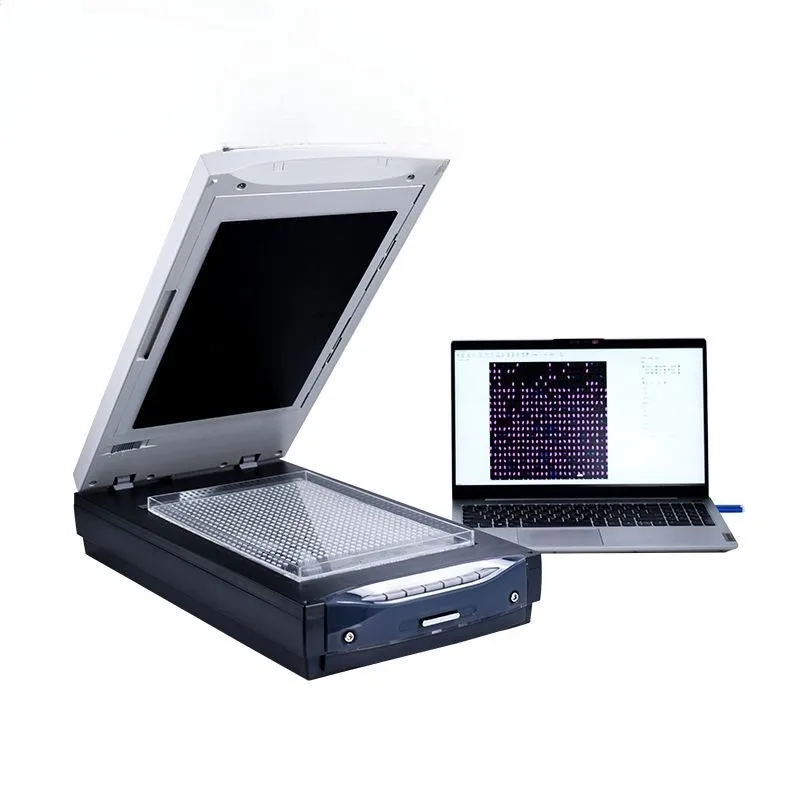 

Rice Appearance Quality Detector High Precision Image Detection Glutinous Rice Brown Scanner