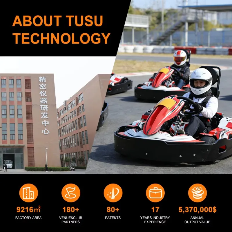 TSKART Adjustable speed 40/60/80 km/h Adult children's go-karts, fast commercial recreational go-karts, suitable for go-kart ven