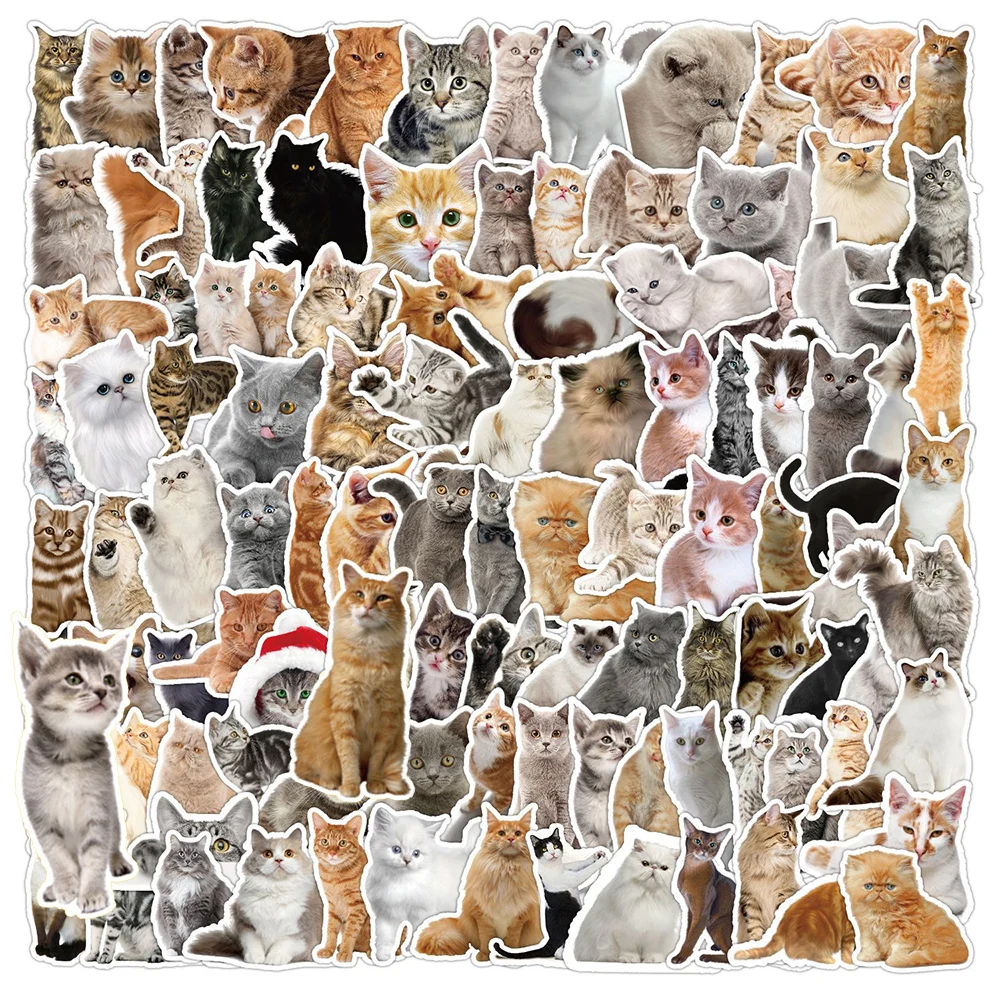 10/30/50/100 Stück Niedliche Katzen-Meme Graffiti-Aufkleber DIY Skateboard Handy Koffer Gitarre Lustige Cartoon-Tier-Sticker Set