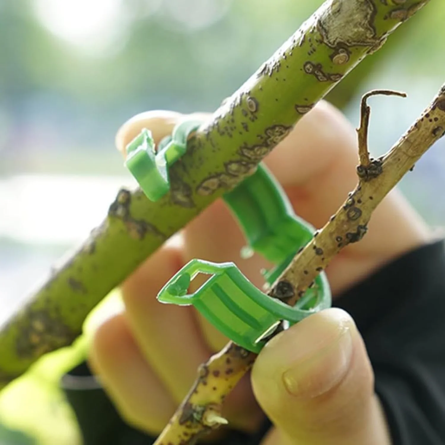 500/50PCS Plant Support Clips Reusable Plastic Connects Vine Fixing Clip Tomato Grape Vegetable Plants Holder Buckle Garden Tool