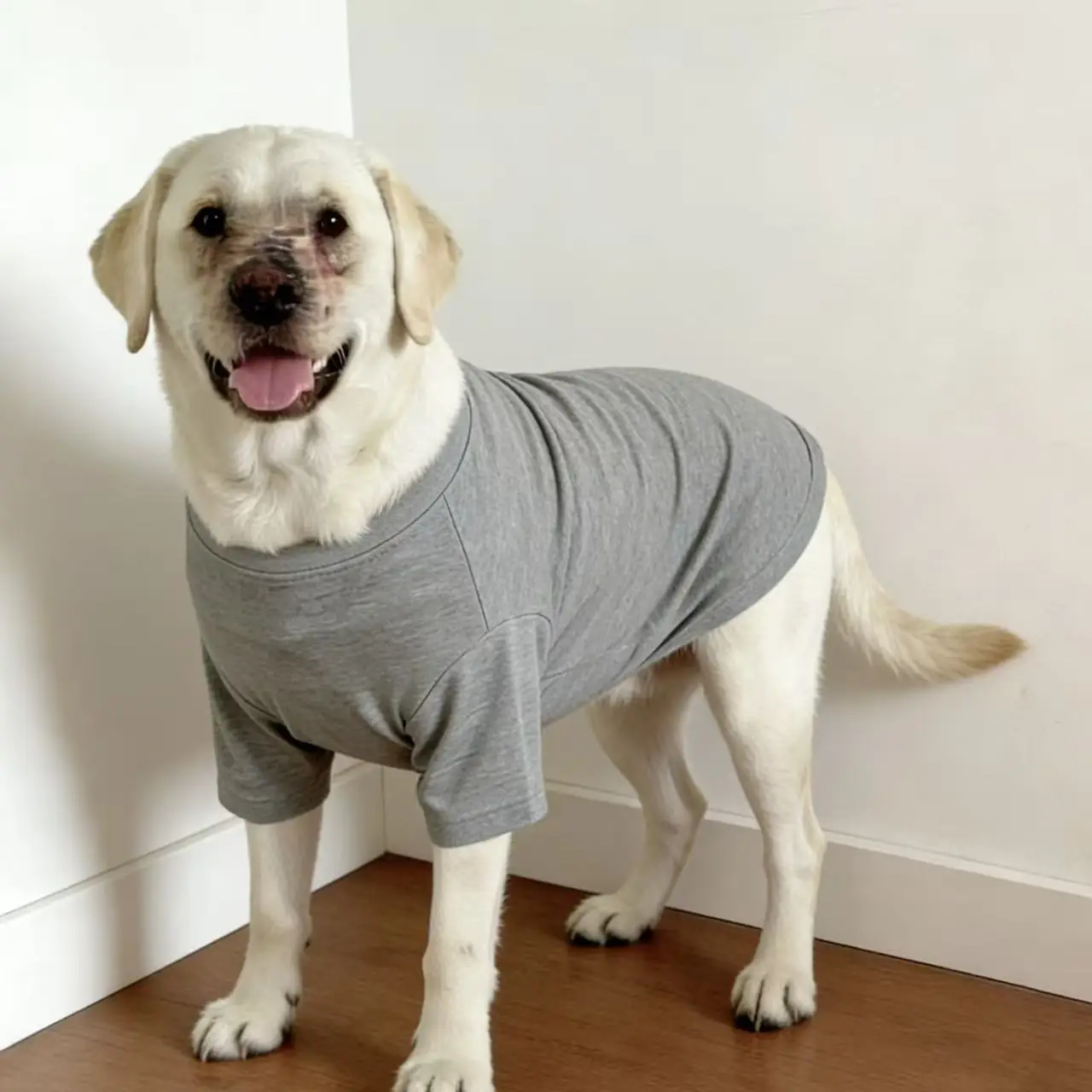 Frühling Sommer Kühlende Hundeweste Weiche Atmungsaktive Kleidung Sommer Freizeithemden für Mittelgroße und Große Hunde Labrador Samojede Haustierzubehör