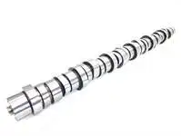 Store code: EST57011 for the camshaft FH-FH-FH II-FM-FMX/ DXI 13 EURO 4-5 D13C