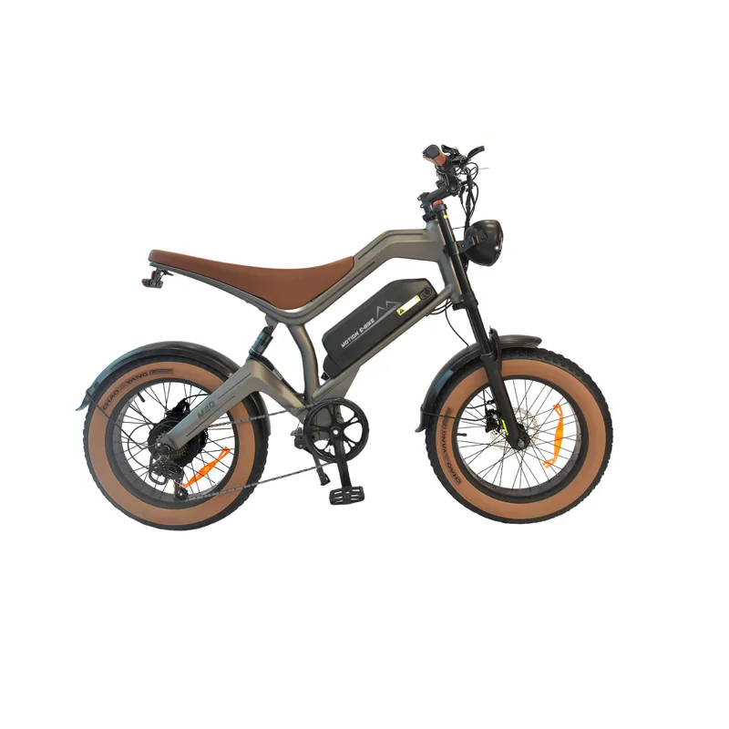 

Электровелосипед DYU M20 для взрослых, городской электровелосипед с мотором 1000 Вт, 48V18.2AH, электровелосипед с широкими шинами 20 дюймов, электрогорный велосипед.