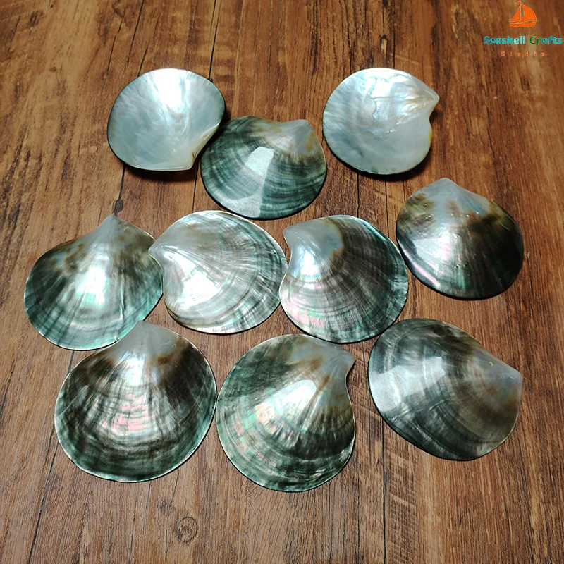 Black Mother of Pearl Shells Polished Pinctada Margarilifera Sea Shell Handmade Creative DIY Jewelry Beads Caviar Container