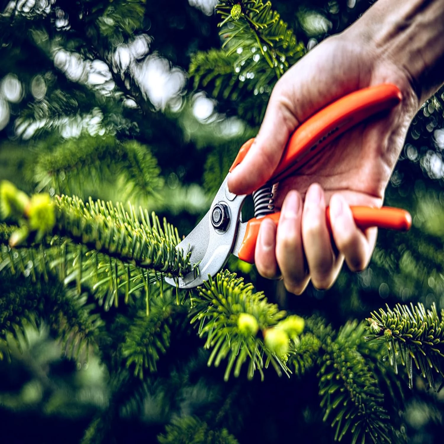 أدوات حديقة متعددة الاستخدامات - مراجعة Gardening Tools You Must Have وسعره