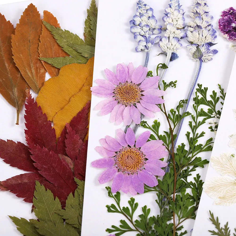 For fun 1 Pack DIY Dried Flowers Resin Mold Fillings UV Expoxy Flower for Nail Art Pressed Flowers Home Decor Handicraft