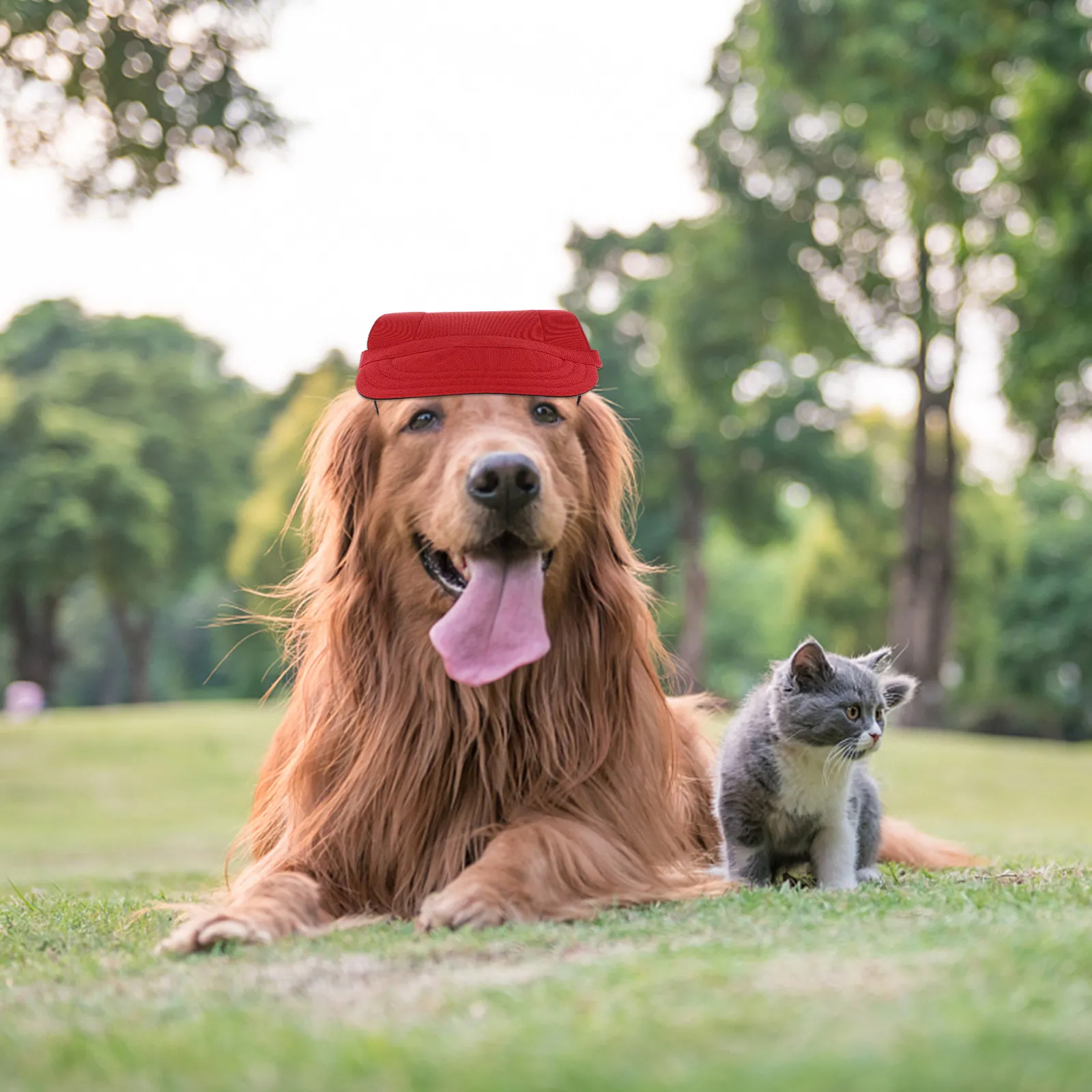 Summer Pet Hat Dog Visor Protection Adjustable Buckle Breathable Soft Canvas Material for Dogs Cats Outdoor Activities