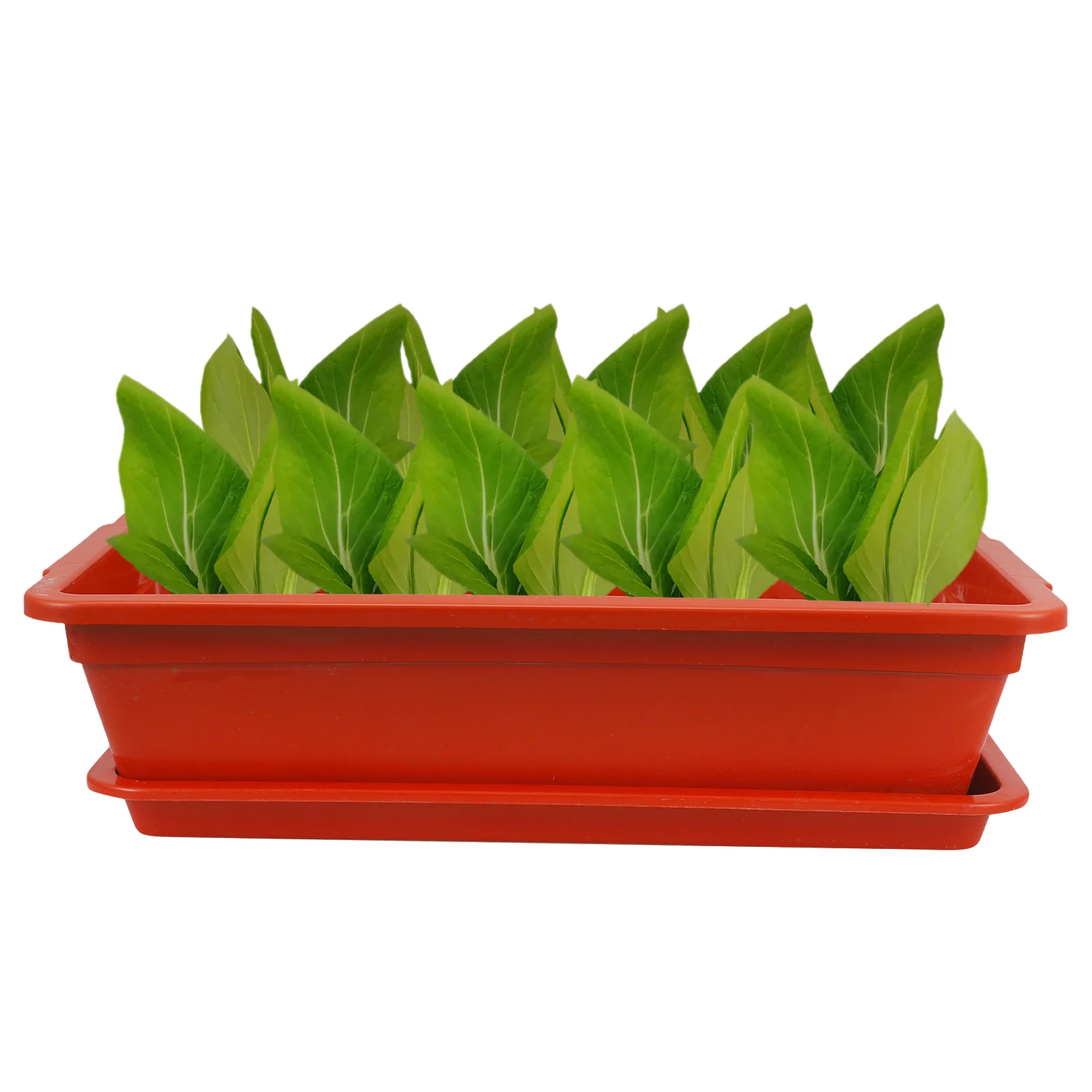 

Rectangular Vegetable Growing Pot Plastic Planter Box For Garden Flower Succulent Indoor Outdoor Planting With Tray