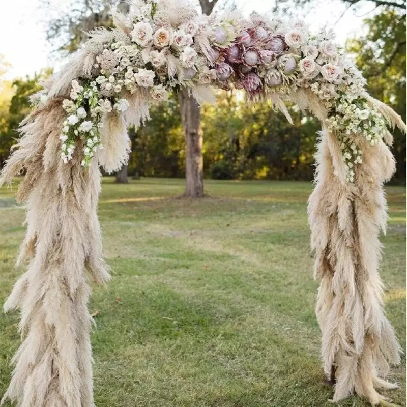 Großhandel 10 Stück Boho Hochzeitsdekor Große Federn Trockenes Pampasgras Blumendekor Natürliche echte konservierte getrocknete Pampas für Heimdekoration