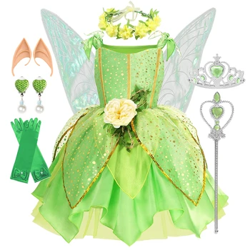 Girls Fairy Princess Costume 1
