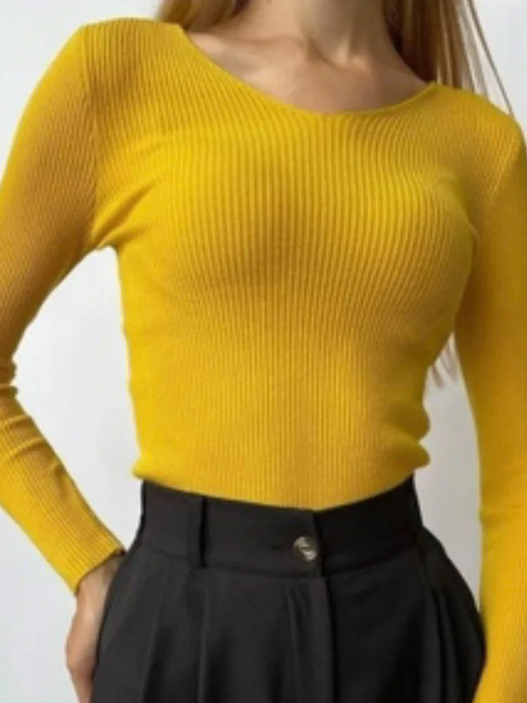 Women Sweater Spring Autumn Knitted Pullovers V-neck Slim Fit Bottoming Shirts Solid Soft Knitwear Jumpers Basic Sweaters 2024