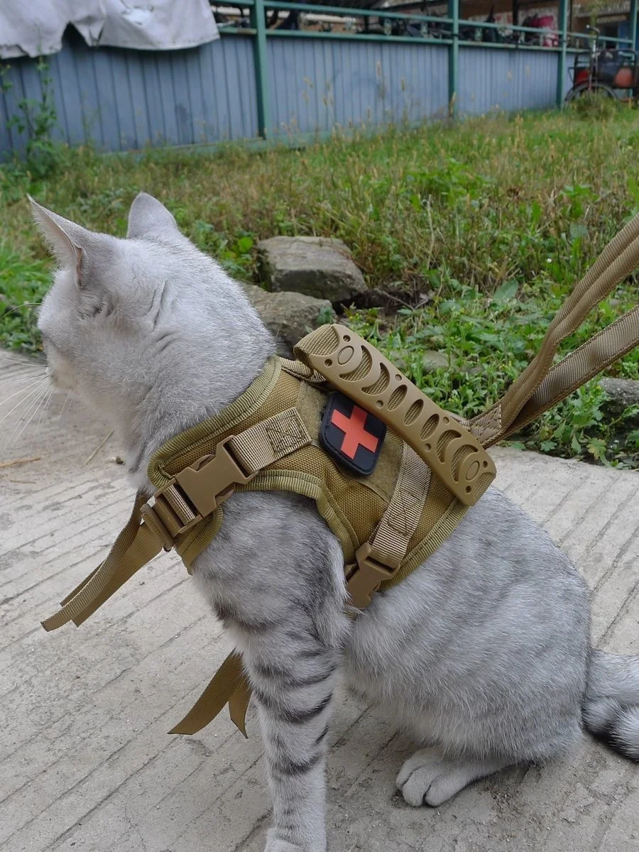 Colete tático com alça no peito para animais de estimação, Corda de tração para gatos, Roupa ao ar livre, Tipo de corrente