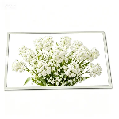 TX13D03VM1CAA  5.0 inch 640*480 Resolution LCD panel fast shipping