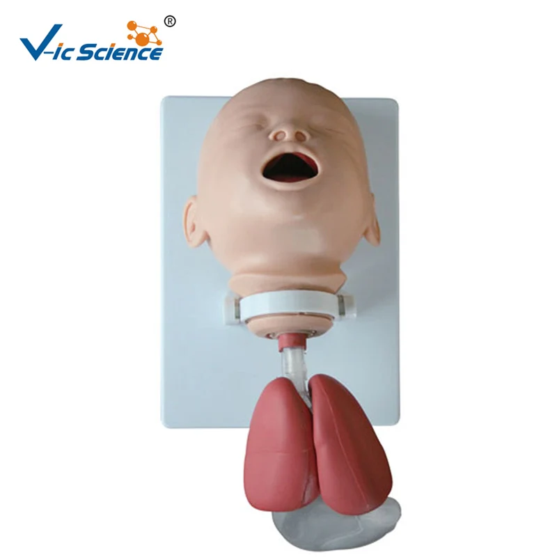 Infant Intubation Training Model