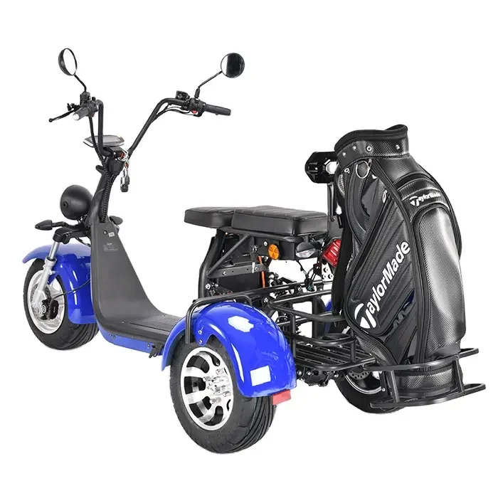 

ZAIQU Australia Market High Quality 2-Seater Electric Golf Carts Durable Various Models with 60v Battery Voltage