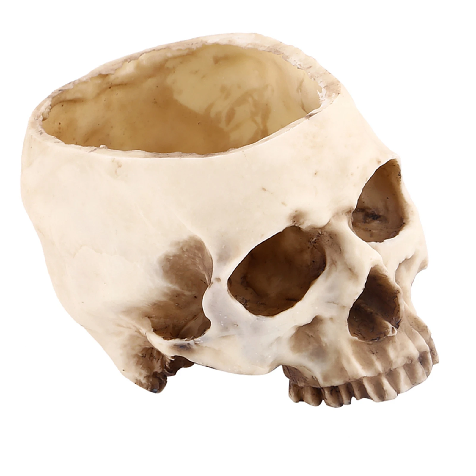 Resin Skull Head Design Flower Pot Planter Container Decoration Skull Container Skull Pot Skull Plant Pot Skull Flowerpot gallery 4
