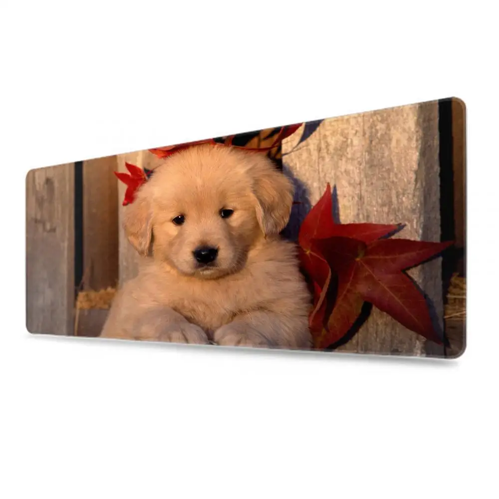 XGZ Animals Cat Kitten Dog Golden Retriever Puppy Mousepad,Custom Rectangular Mouse Pad in  - office accessory