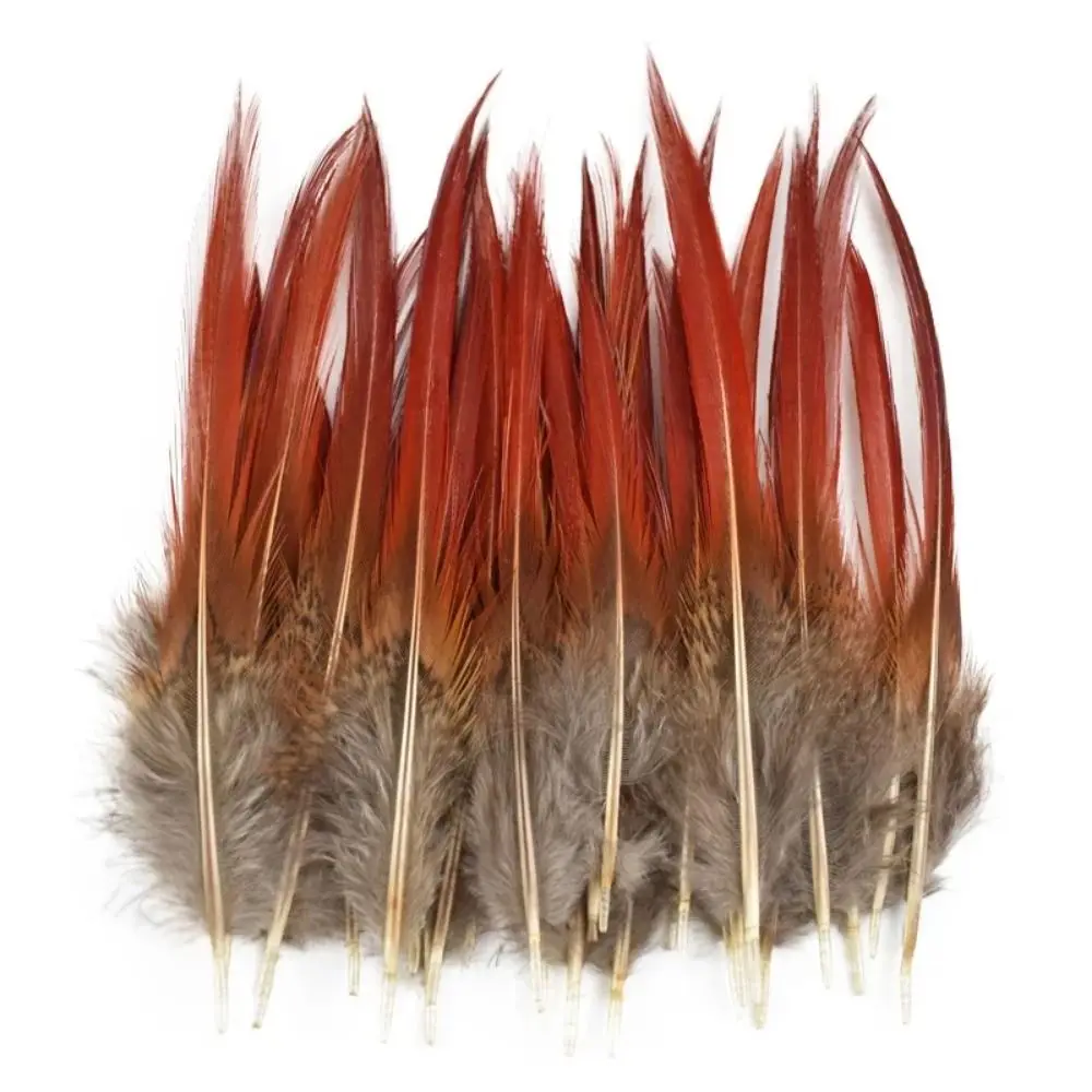 40/48Pcs Assorted Natural Feathers Bulk Long 6 Styles Mixed Feathers Multi-purpose Unique Pattern Pheasant Plumage